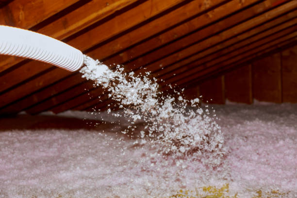 Best Specialized Insulation Services in Hampton, SC