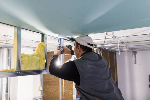 Best Fiberglass Insulation in Hampton, SC