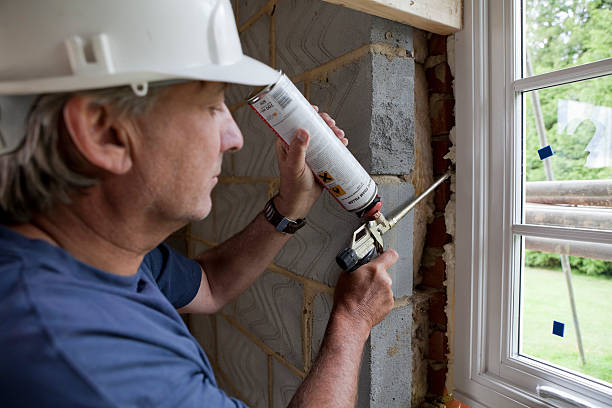 Best Geographic-Specific Insulation Services in Hampton, SC