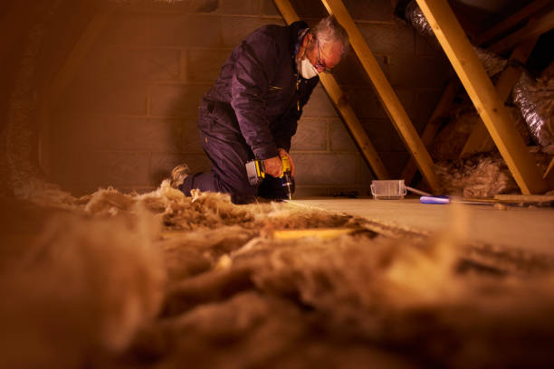 Best Residential Insulation in Hampton, SC